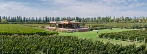 El grand cru de los Andes lanza nueva añada y anuncia varias novedades