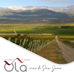 Esta feria en Buenos Aires se dedica sólo al vino de San Juan