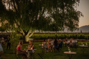 Inaugura nuevo restó de bodega, al aire libre y rodeado de viñedos