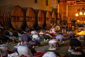Yoga por los Caminos del Vino con tres fechas en diciembre
