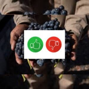 Lo más y lo menos para la industria del vino argentino en 2022