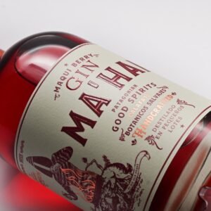 ¿Qué son los World Drinks Awards y a qué gin argentino premiaron?