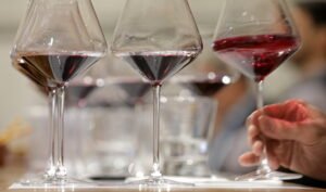 Semana movida: tastings con jurados internacionales en Mendoza
