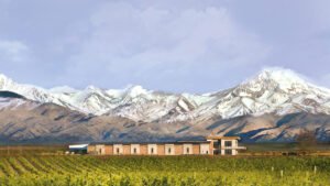 Una bodega mendocina nominada a «mejor productor de vino tinto» del mundo