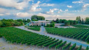 Uno de los máximos galardones del IWSC 2023 fue para una tradicional bodega mendocina