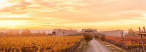 La bodega más sustentable del mundo está en Mendoza