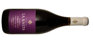Dos Pinot Noir argentinos entre los top de The Drink Business