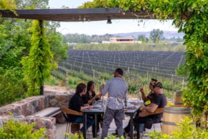 Llega Caminos del Vino Edición Patagonia