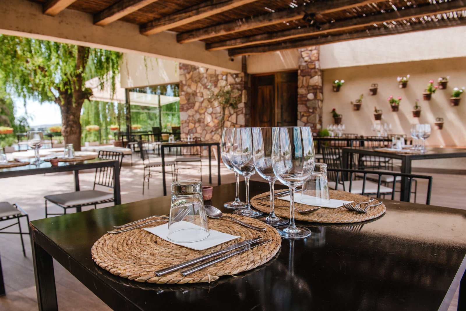 ¡Orgullo Mendocino! Bodega Renacer reafirma su sello Michelin 2025