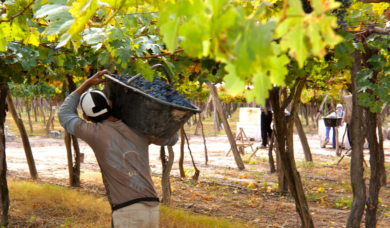 Cuando el comercio de vinos es un bien público