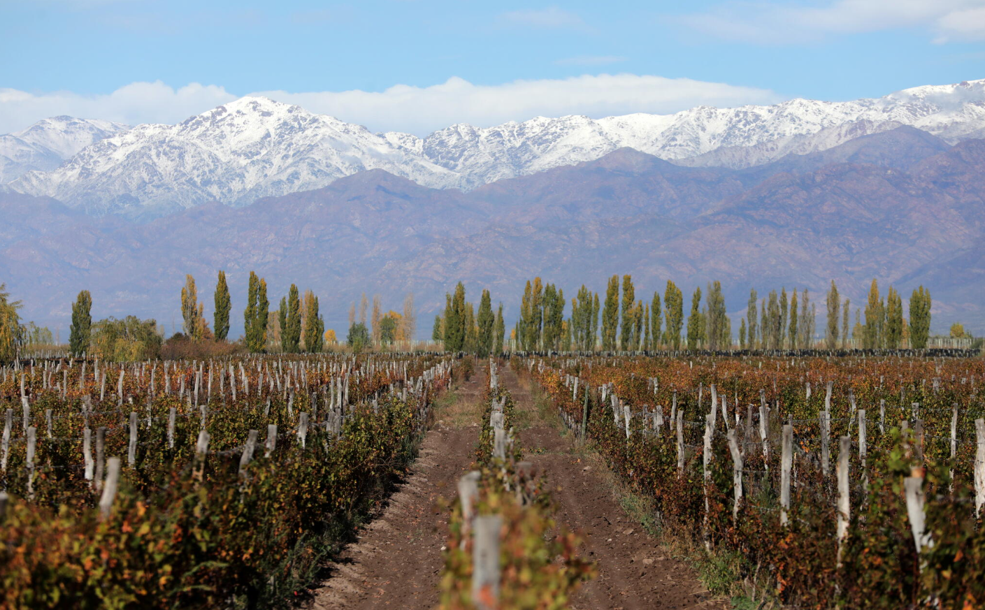 Rankings globales de turismo colocan a Mendoza en lo más alto