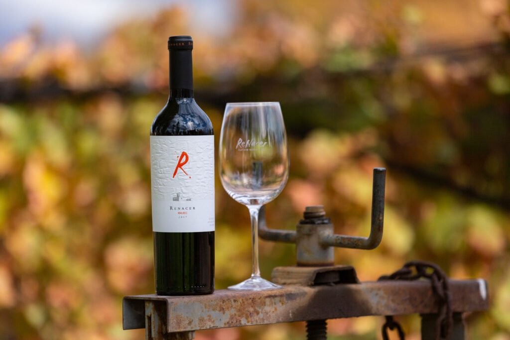 Renacer Malbec 2022 recibe 95 puntos en los Decanter World Wine Awards