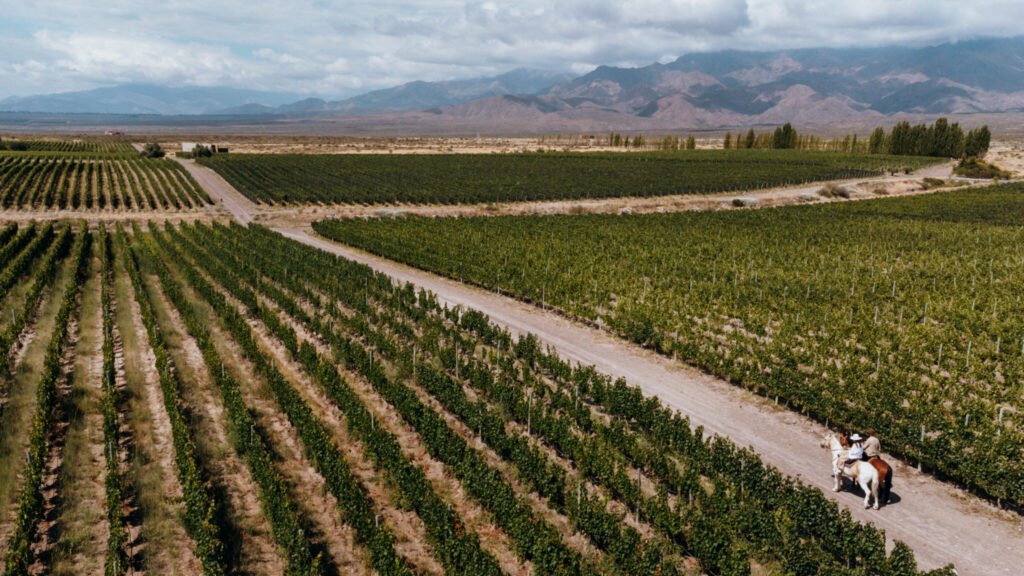 El wine resort de Valle de Uco cuya gastronomía vale la pena explorar