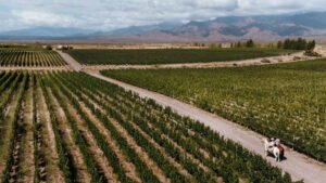 El wine resort de Valle de Uco cuya gastronomía vale la pena explorar