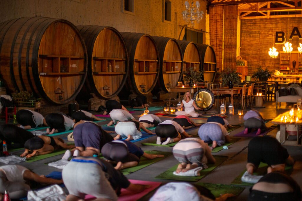 Circuito invernal de Yoga por los Caminos del Vino