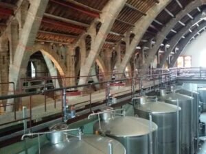 FeCoVitA sigue creando sinergia con el cooperativismo vitivinicola internacional