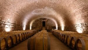 Museo del Vino bajo tierra: Mendoza será pionera