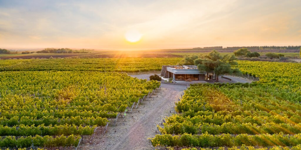 Paul Hobbs busca el «grand cru» mendocino: relanza Viñedos Propios con viticultura de precisión