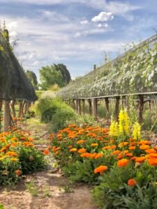 Chakana responde a la crisis del consumo global a través de la sustentabilidad
