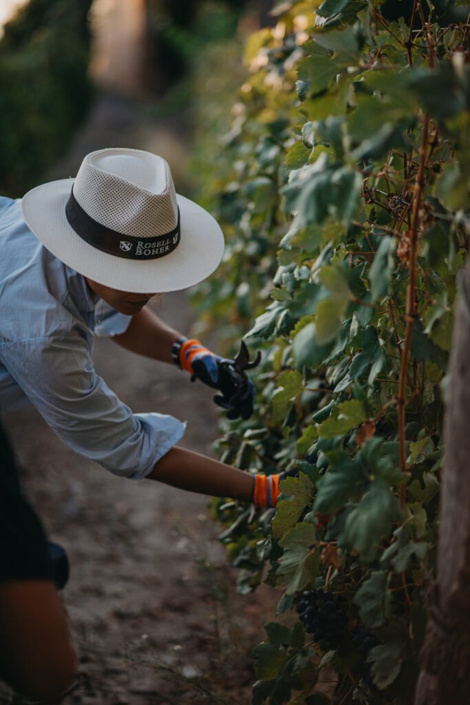 Rosell Boher Lodge invita a cosechar entre burbujas y fuegos