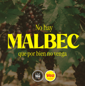 Expo Vea Vendimia celebra su 14° edición con experiencias sensoriales y «networking»