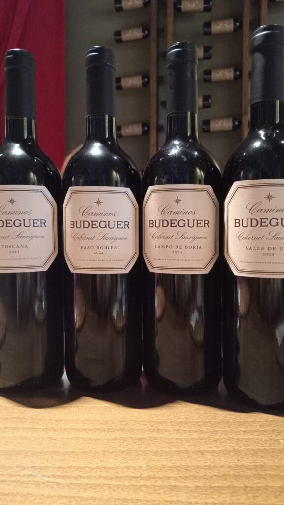 Cómo es «Caminos» de Budeguer, el exclusivo proyecto de Cabernet Sauvignon que une cuatro terruños del mundo