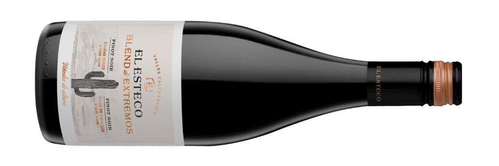 Aventura enológica: nace un Pinot Noir de los Valles Calchaquíes