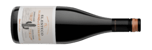 Aventura enológica: nace un Pinot Noir de los Valles Calchaquíes