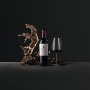 Argentina bate récord histórico en el medallero de los Decanter World Wine Awards 2026