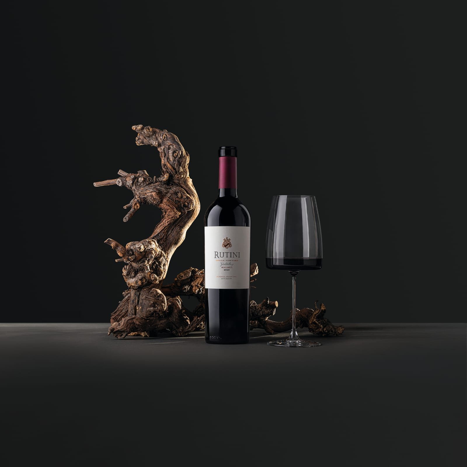 Argentina bate récord histórico en el medallero de los Decanter World Wine Awards 2026