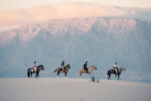 Ruta del vino en invierno: 6 experiencias imperdibles entre viñedos, fuegos y alta gastronomía