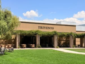 Histórico: Trivento es por sexto año consecutivo el vino argentino número 1 en el mundo en valor