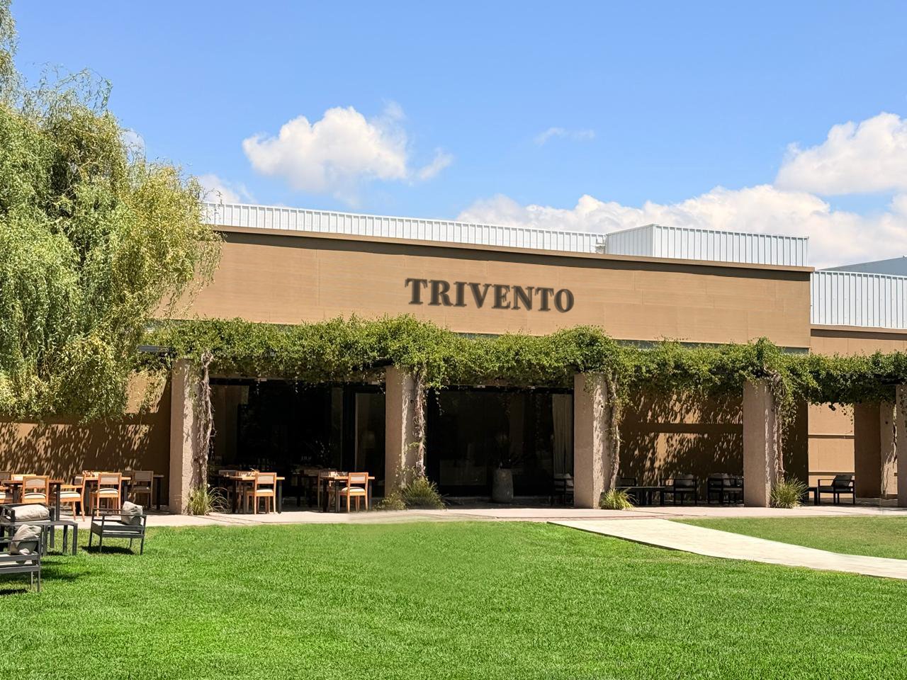 Histórico: Trivento es por sexto año consecutivo el vino argentino número 1 en el mundo en valor