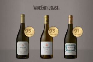 ¿Cuál es el vino blanco argentino aplaudido por Wine Enthusiast?