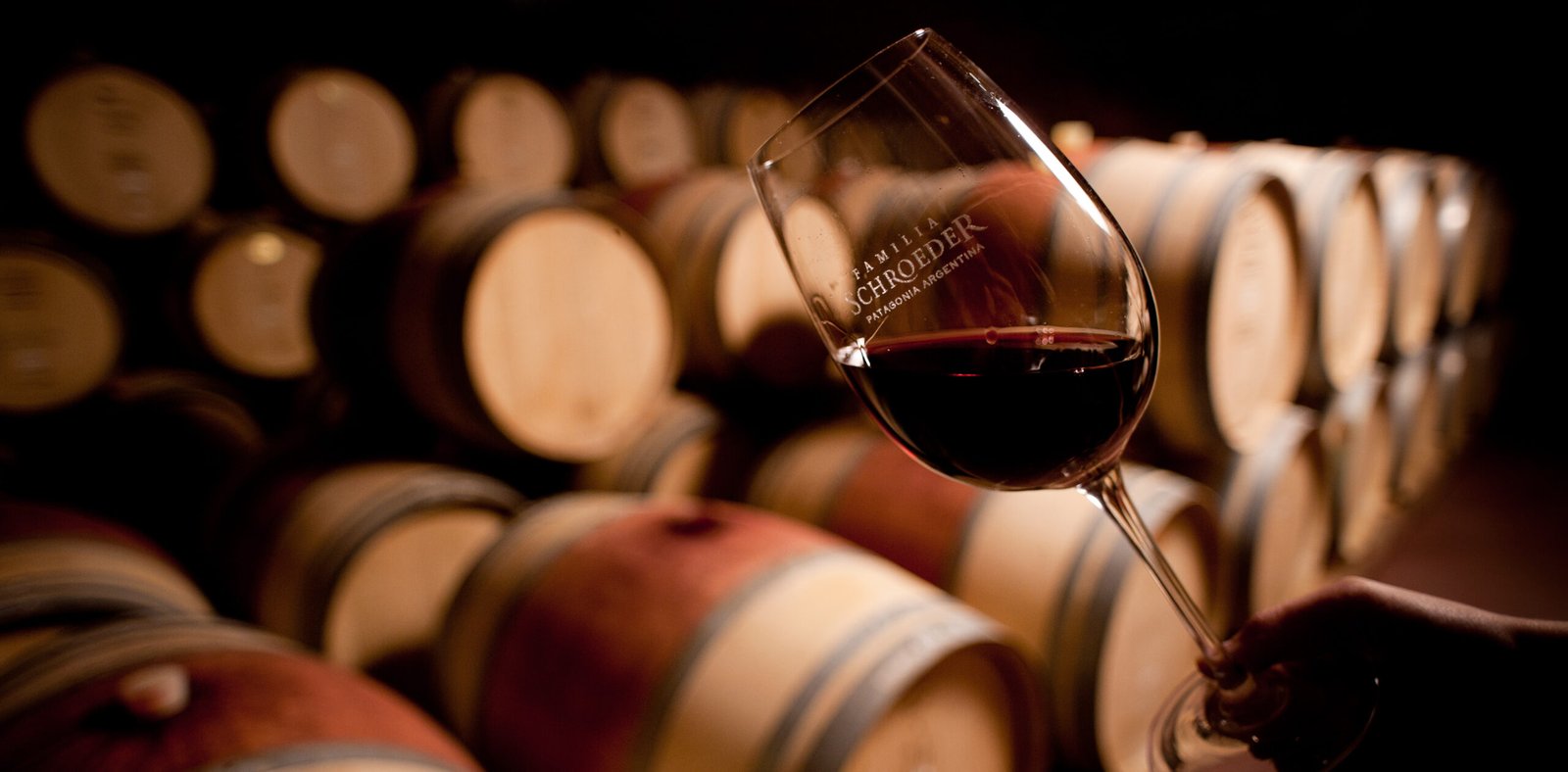 Cinco Pinot Noir de menos de $20.000 para conocer la versatilidad del varietal