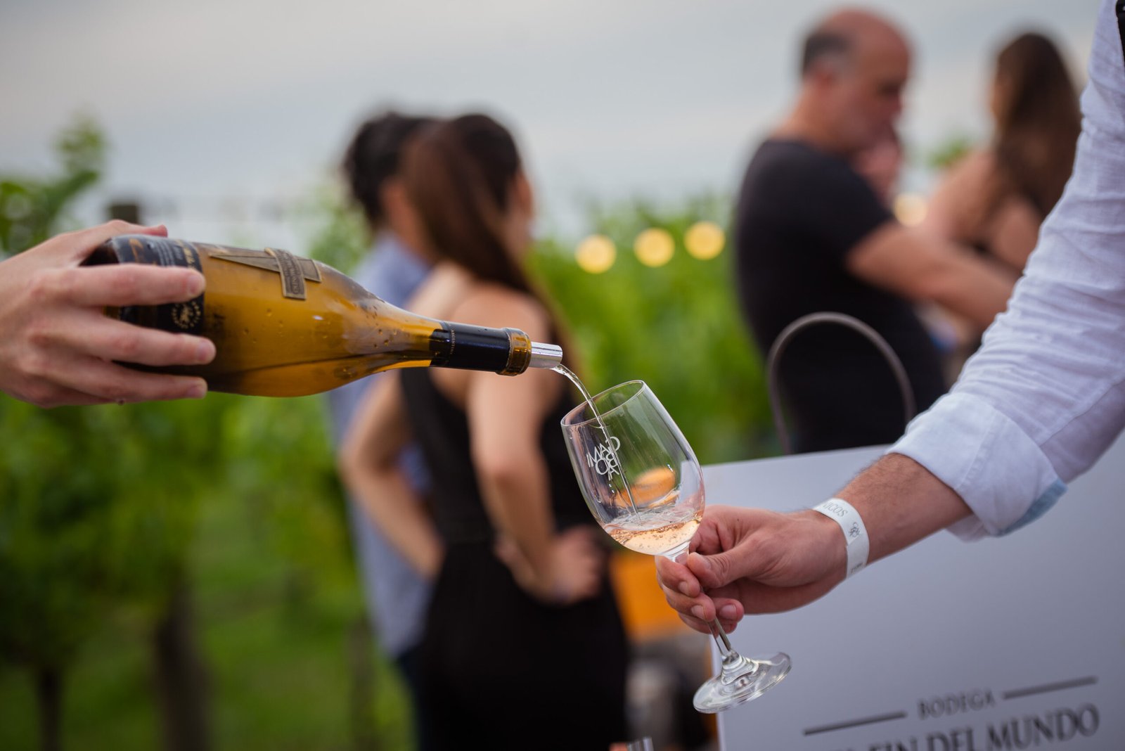 Más de 50 bodegas de todo el país llegan a Gamboa para la 6ª edición del Encuentro Federal de Vinos