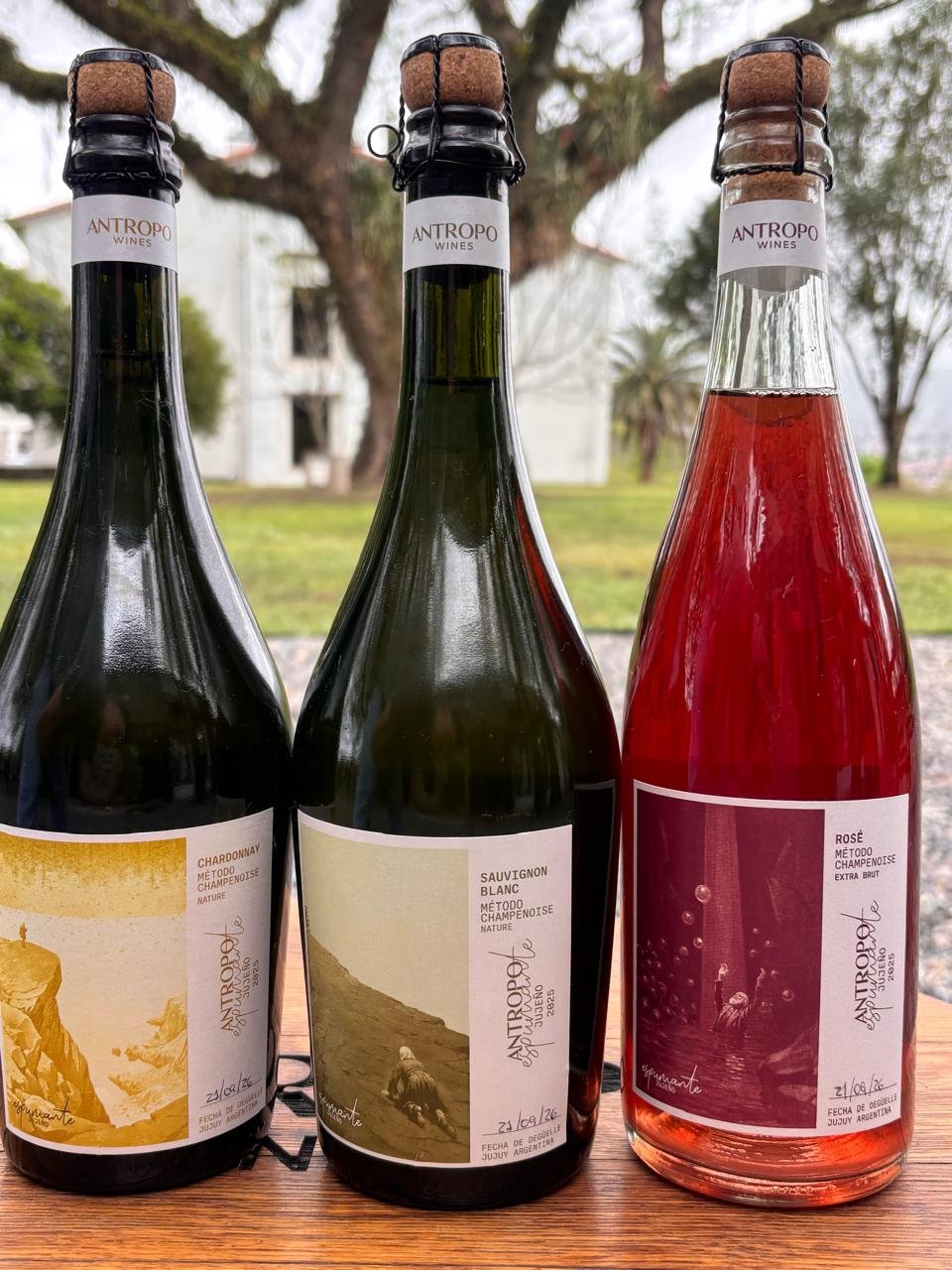 Hito para el vino de Jujuy: nacen los primeros espumantes de la mano de Antropo Wines