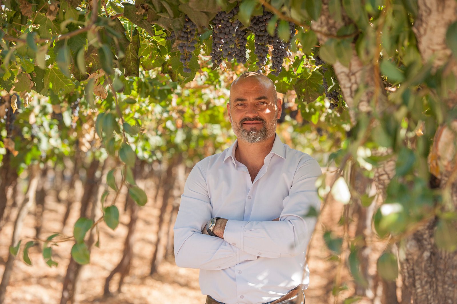 Fernando Losilla, ganador absoluto en The Winemakers 2026 con un vino de garage